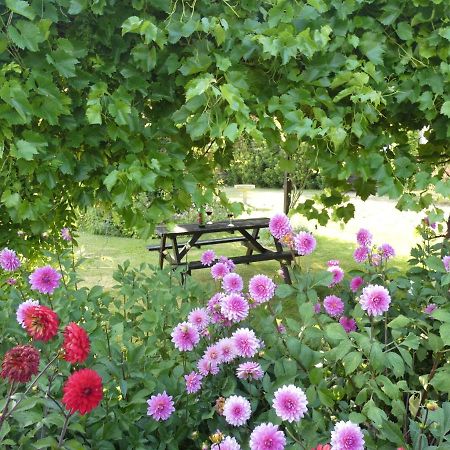 Apartament The Mount, Somerton Somerton  Zewnętrze zdjęcie
